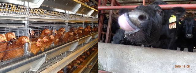 香川県 徳島県 株式会社カワフジ