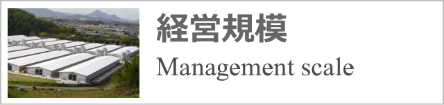 経営規模